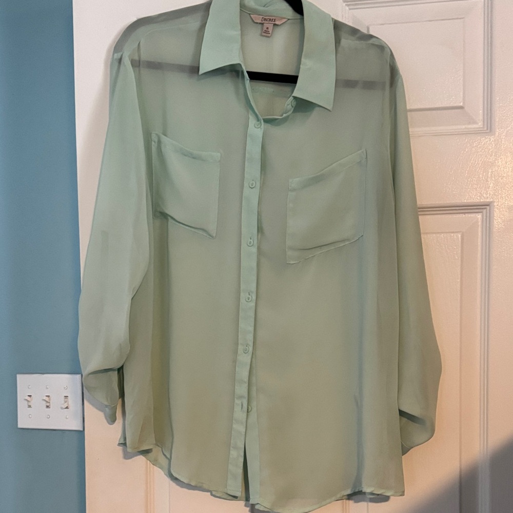 Decree Mint Green Sheer Blouse